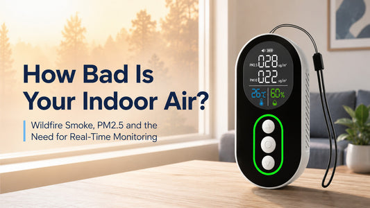 Wildfire Smoke and PM2.5: How to Know If Your Indoor Air Is Safe