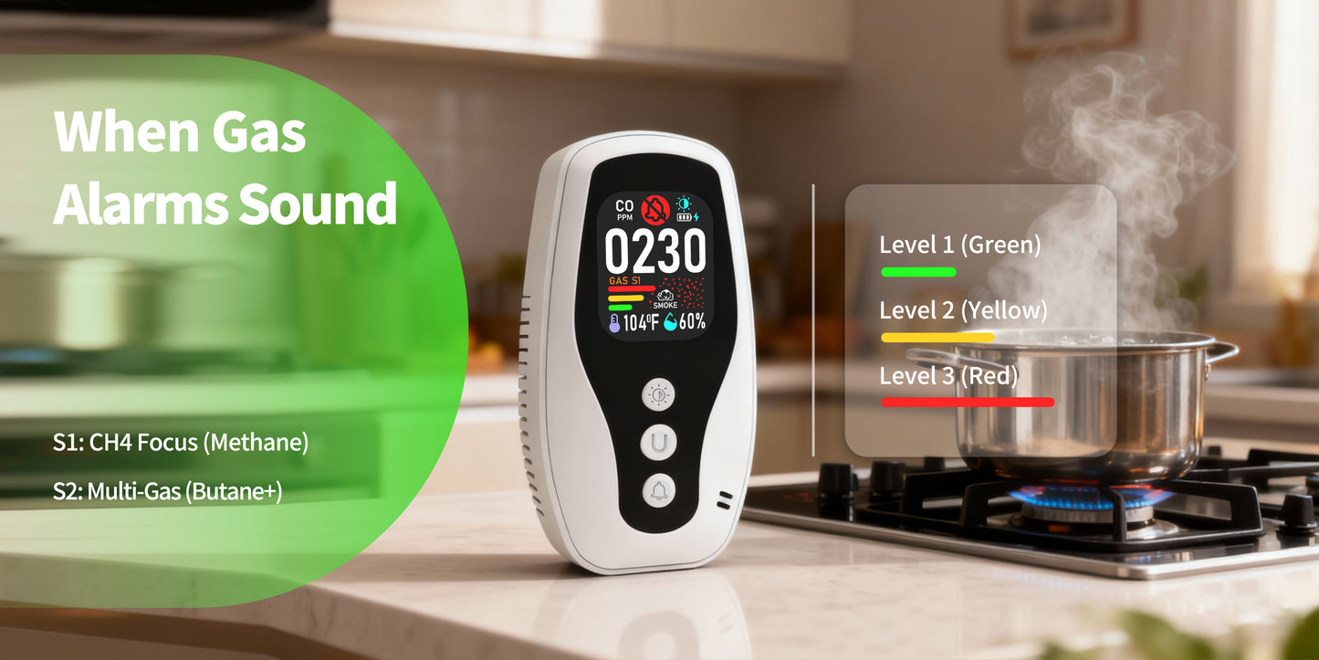 252 D Real Time Monitoring of Carbon Monoxide, Combustible Gas Detection, Smoke Detection, Reverse Compatible Socket,
