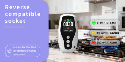 252 C Carbon Monoxide Monitoring System, Smoke Monitoring System, Temperature and Humidity Monitoring System,