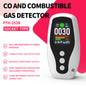252 B Carbon Monoxide Monitoring, Combustible Gas Detection, Temperature and Humidity Monitoring.