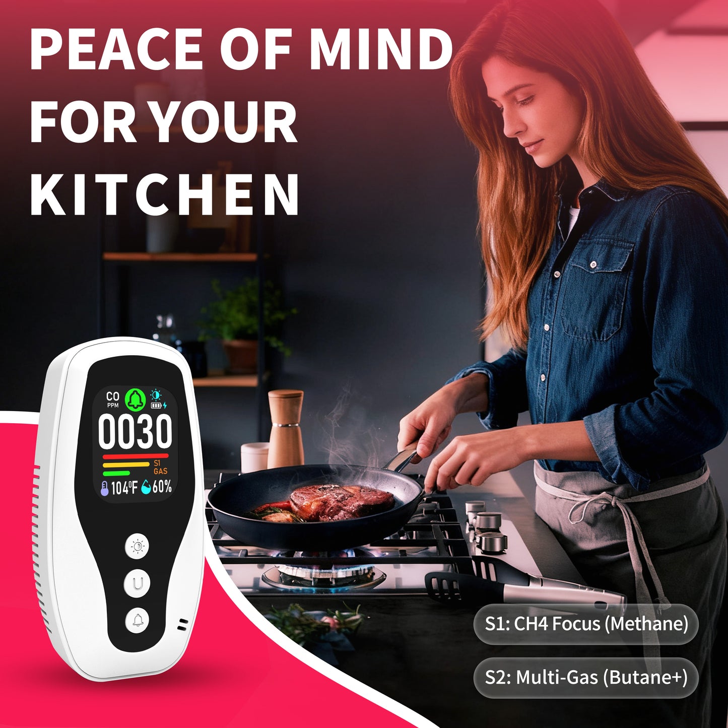 252 B Carbon Monoxide Monitoring, Combustible Gas Detection, Temperature and Humidity Monitoring.
