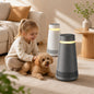 FABISENSE FS905 Smart Air Purifier Ultra | Whole-Home Gaseous Defense | Intelligent High-Precision Sensors | Clears Formaldehyde